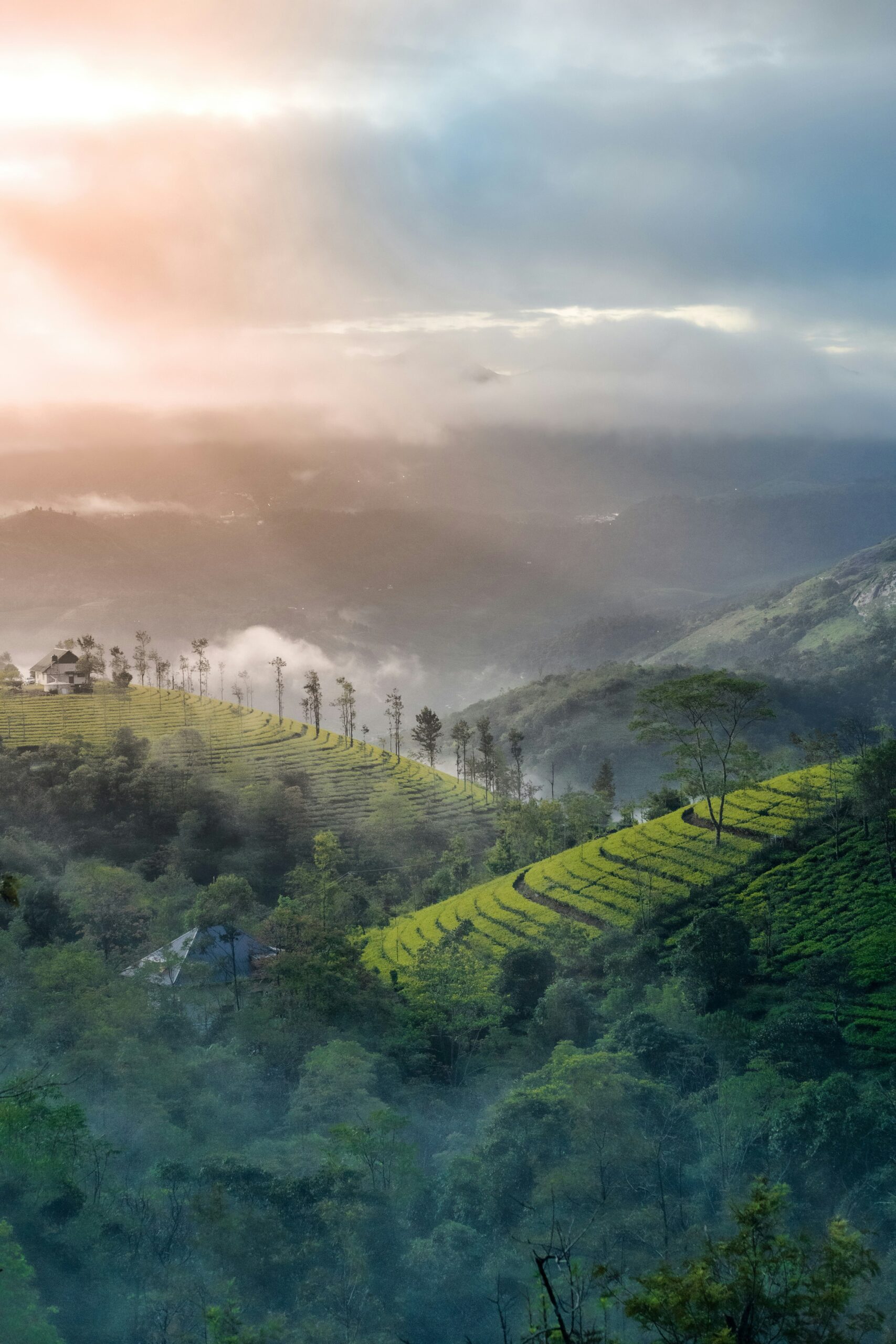 Munnar: Unveiling the History Behind the Tea Hills